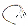 JST-GH to 4 Pin Dupont Cable (4 pack)